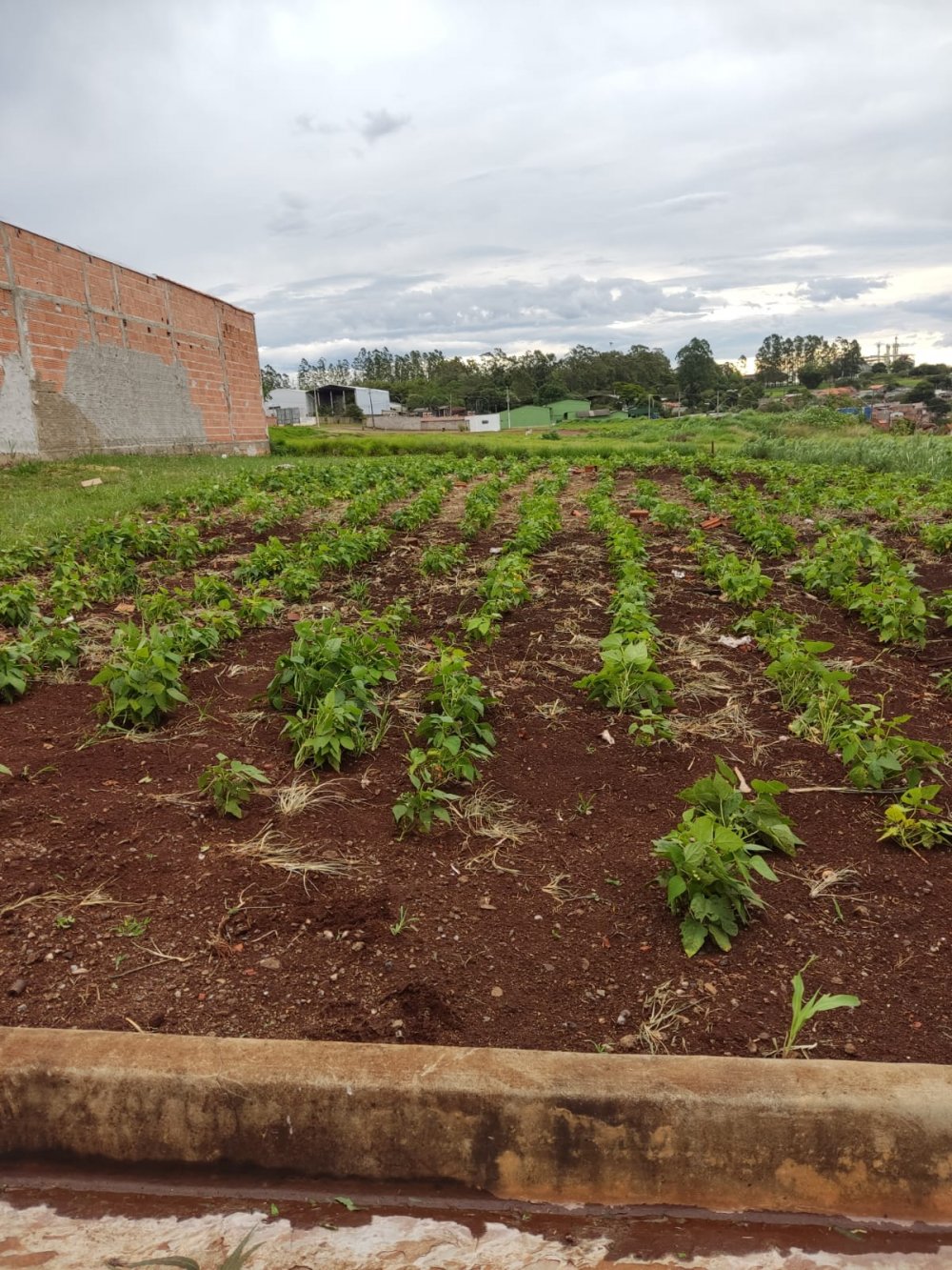 Terreno - Venda - Jardim Europa - Tamarana - PR