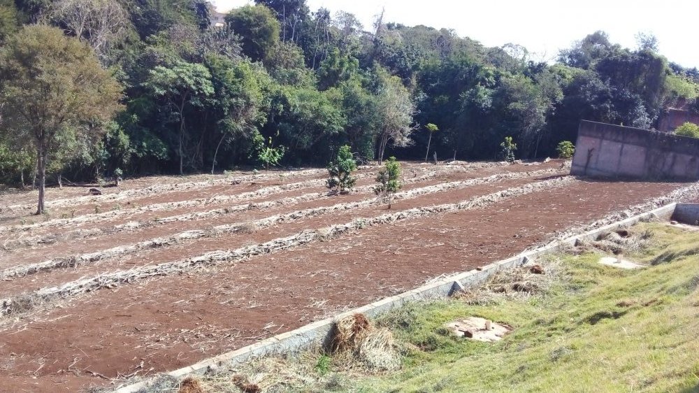 Chcara - Venda - Centro - Tamarana - PR